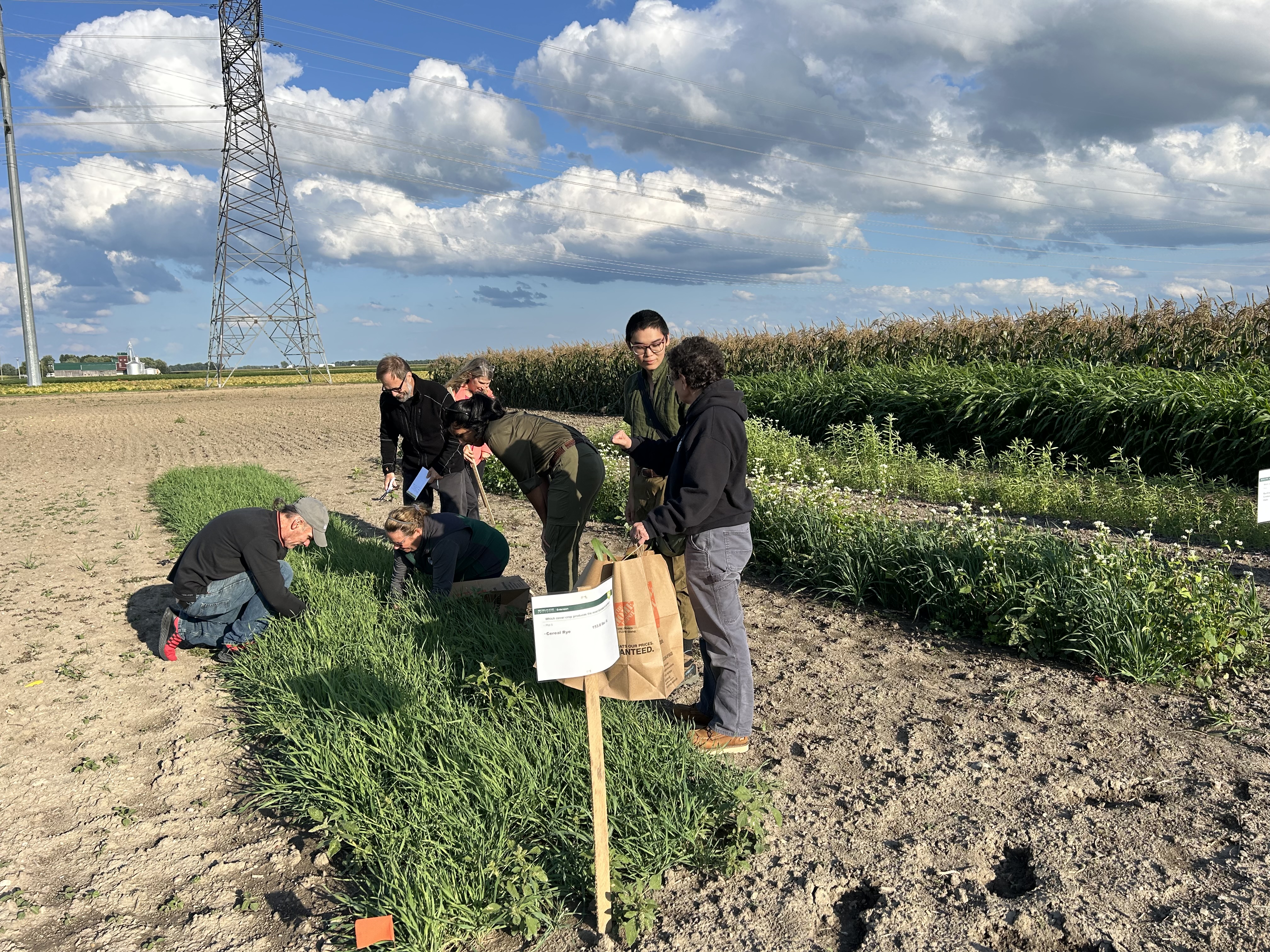 Workshop participants harvesting a fresh biomass sample of rye cover crop.